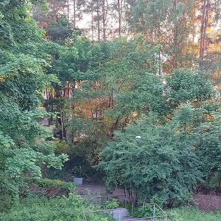 Niebieskie Narie Kretowiny