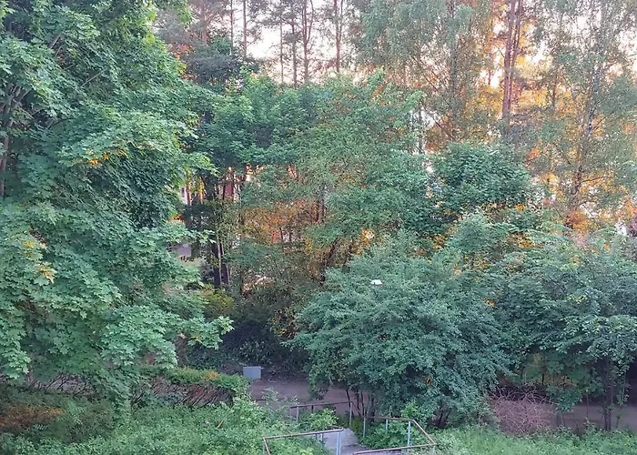 Niebieskie Narie Kretowiny